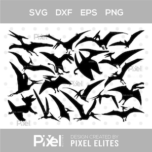 May include: Black silhouette illustrations of various pterosaurs, including Pterodactylus, against a white background. The image includes the text "SVG DXF EPS PNG" and "DESIGN CREATED BY PIXEL ELITES".