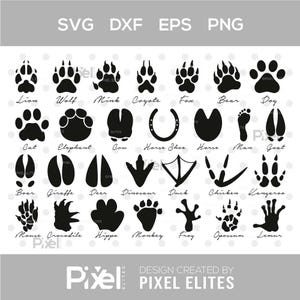 Animal Paw SVG Bundle, Paw Print, Dog & Cat Paw, Animal Tracks, Pet Clipart, Cricut Cut File, Outline Vector, Animal Footprint SVG