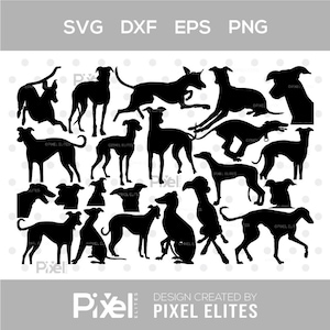 Peut inclure: Plusieurs silhouettes noires de chiens dans diverses poses, debout, assis et courant. L'image comprend les étiquettes de type de fichier : SVG, DXF, EPS et PNG. Le design est créé par Pixel Elites.