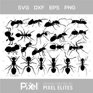 Ant SVG Bundle, Ant Silhouette Cut Files, Cute Insect SVG, Cricut Designs