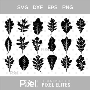 Oak Leaves SVG Bundle, Fall Leaves Cut File, Foliage Svg, Maple Leaf Vector, Fall Clip Art, Digital Download