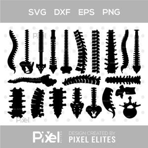 Anatomy Spine Silhouette SVG, Human Spine Clipart, Backbone Skeleton SVG Bundle, Chiropractic Cut File, Digital Download