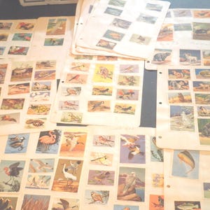 Vintage National Wildlife Collector Stamps - Years 1947 to 1956 - Lot of 172