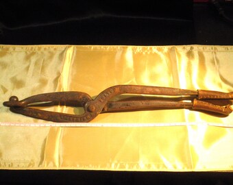 bunion stretching tool