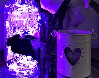 Absolut Kurant Bottle Light (70cl with 100 micro LED purple lights and original bottle cap)