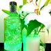 see more listings in the Gin Bottles section
