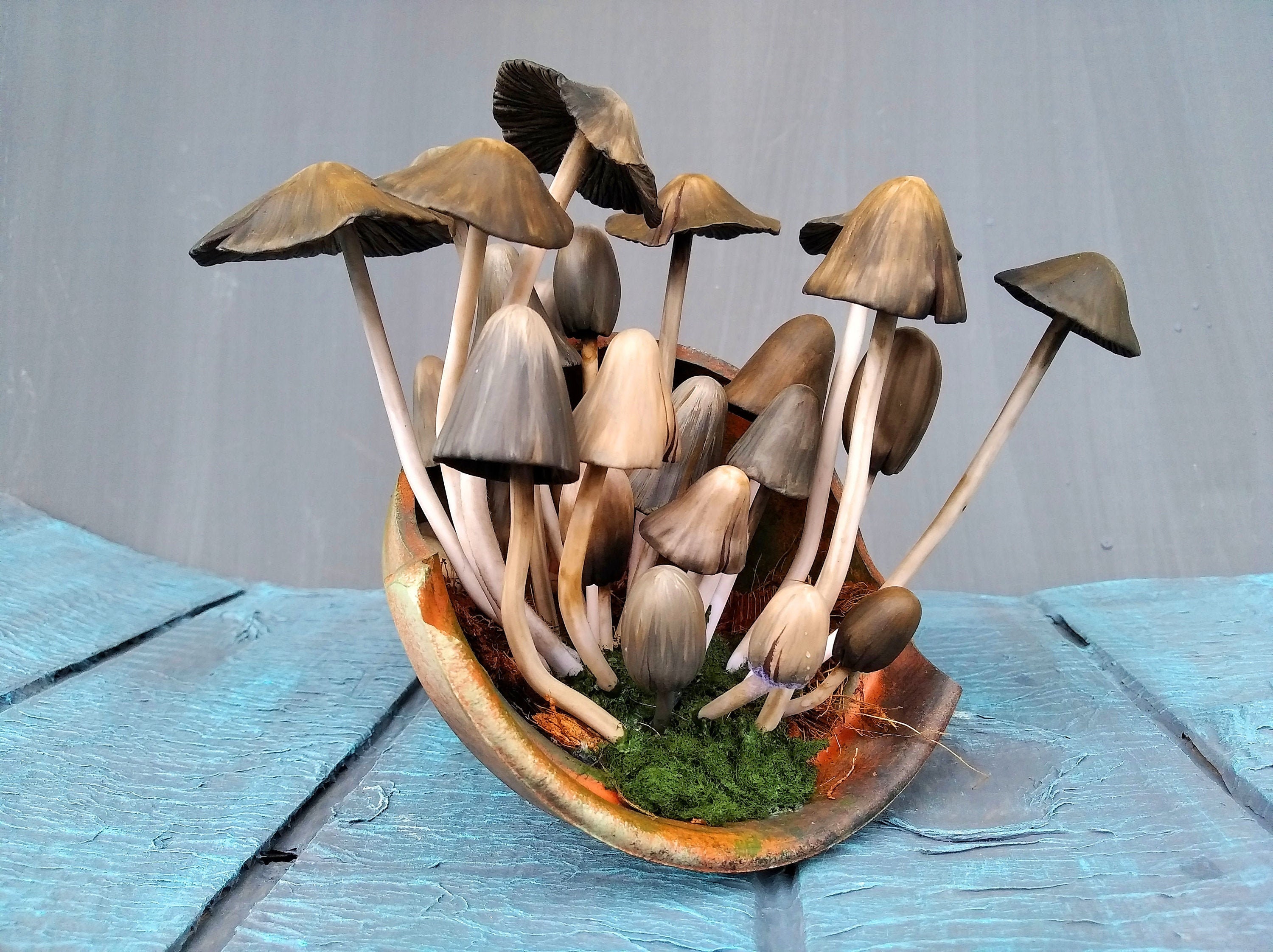 Polymer clay mushrooms Cold porcelain mushrooms Pot of clay | Etsy