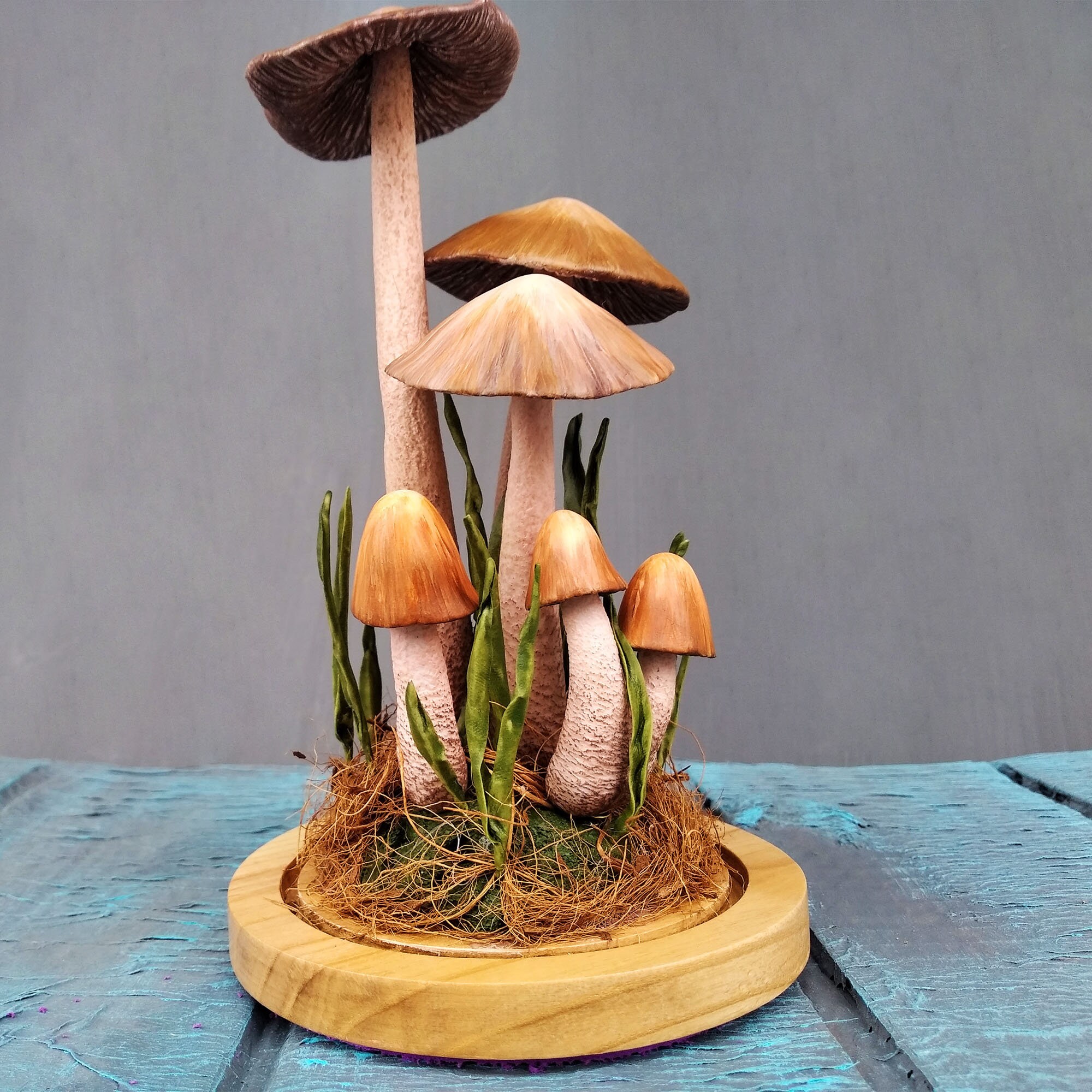 Mushroom Terrarium Realistic Mushrooms Cold Porcelain Etsy