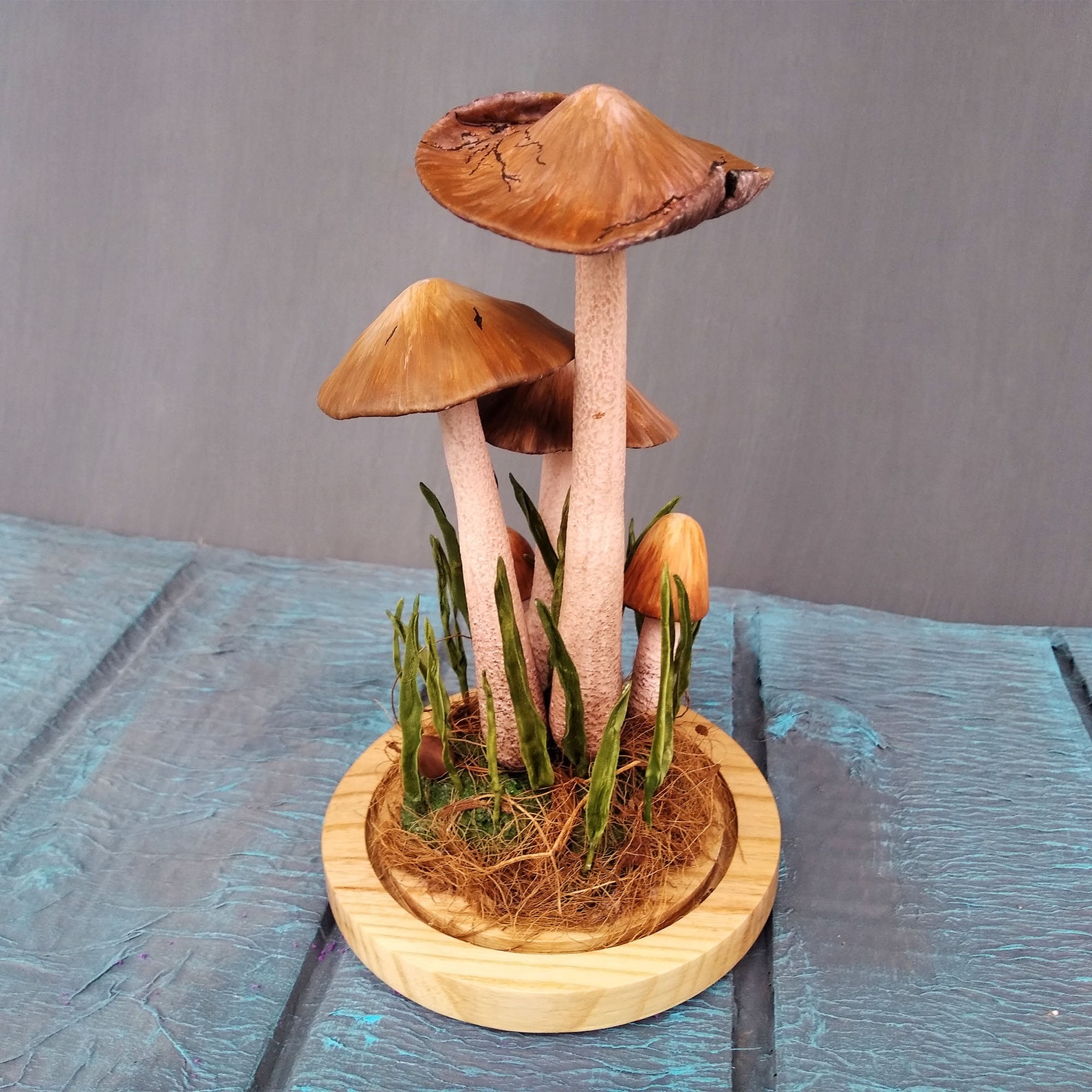 Mushroom Terrarium Realistic Mushrooms Cold Porcelain Etsy