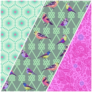 Tula Pink In a Finch - 1 yard cut each - 3 Yard Quilt - 100% Cotton Quilting Fabric Bundle