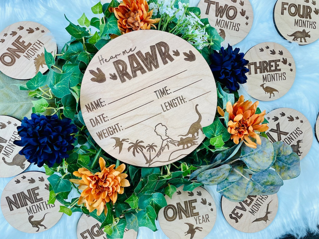 Boys Dinosaur Wood Birth Announcement Sign and Monthly Milestone Photo ...
