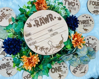 Boys dinosaur wood birth announcement sign and monthly milestone photo markers