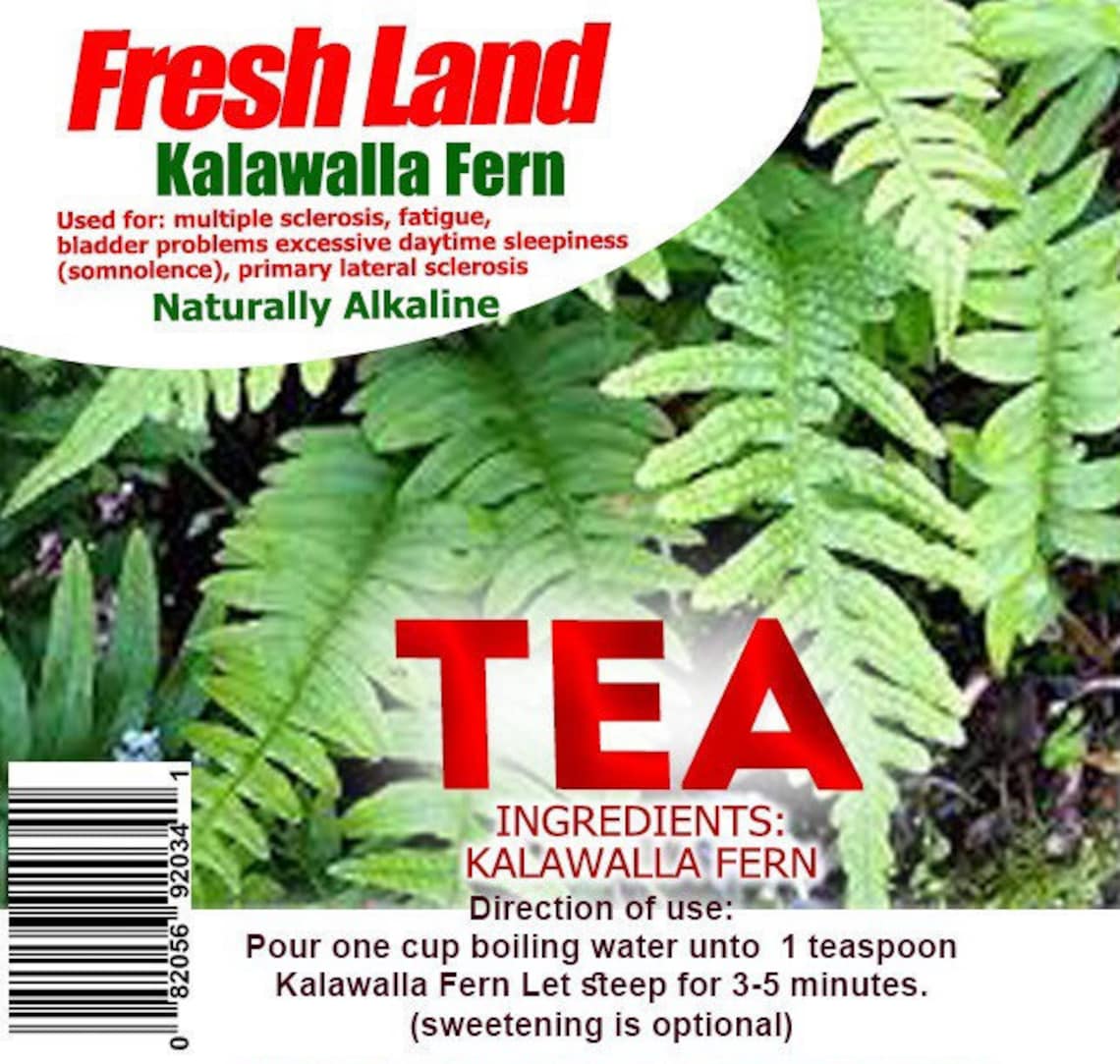Bulk KALAWALLA FERN POWDER 100 Organic Jamaican wholesale Other Name