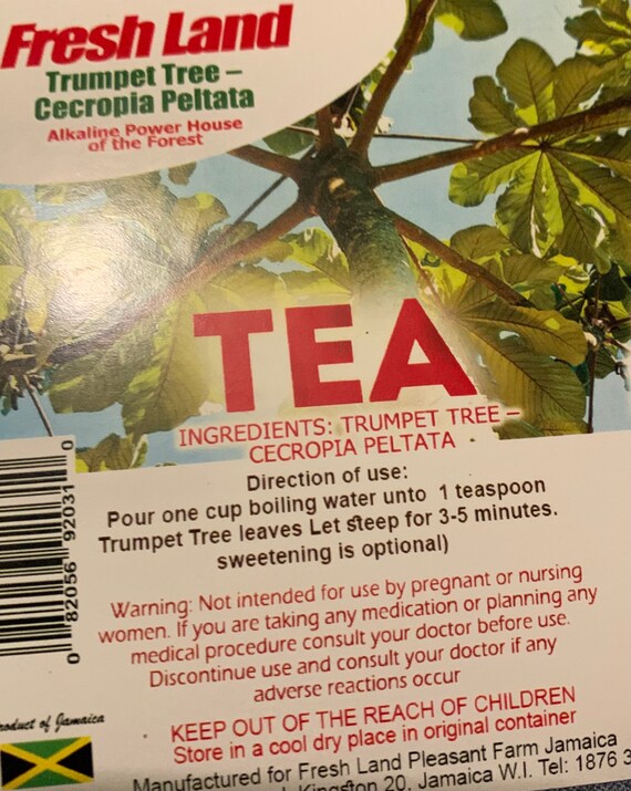 Jamaican TRUMPET TREE LEAVES Powder Cecropia Peltata 100 Etsy