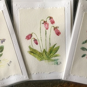 Canadian provincial flowers