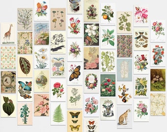 50 PRINTED 4x6 Vintage Cottagecore Aesthetic Wall Collage Kit, Retro Photo Collage, Nature Botanical Wall Art Set