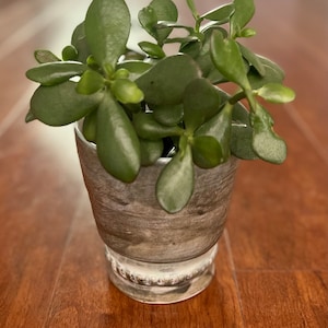 Handmade green grey ceramic pottery planter with drainage