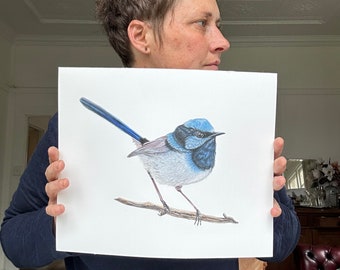 Mr Wren in A5 print Limited edition