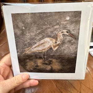 Mix pack of 5 greeting square cards