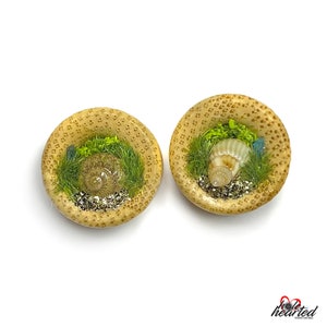 14mm Handmade No. 430 Shells and Apatite Pair Bamboo Wood Double Flare Ear Tunnels Plugs Gauges Stretchers