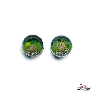8mm Handmade No. 551 Tiny Shells Pair Steel Double Flare Ear Tunnels Plugs Gauges Stretchers