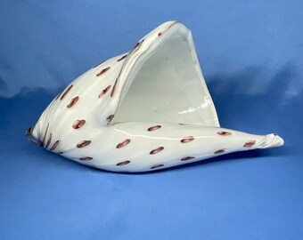 Murano Glass Conch Shell SeaShell Maroon Spots on White