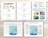 Microscope Activity Notebook: Pond Life Observation, Science Printable (PDF)