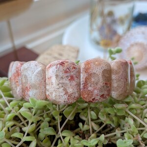 May include: A coral-like bracelet with a natural, textured appearance. The bracelet features rectangular, polished beads in shades of cream and red, resting on a bed of green plants. The beads have a unique, organic pattern.