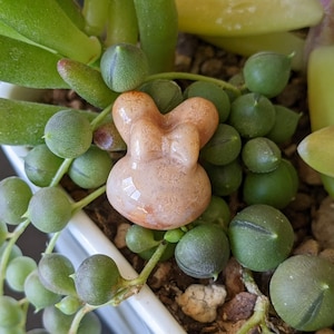 May include: A close-up of a succulent plant with green, round, bead-like leaves and a small, light orange stone figurine in the center. The figurine has a rounded shape with a bow-like design. The plant is in a white pot.