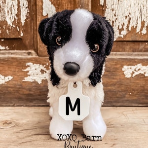 Border Collie puppy with ear tag