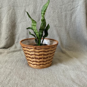 May include: A snake plant with variegated green leaves potted in a round, woven wicker basket. The basket features a two-tone pattern of light and dark brown strips and contains a clear plastic liner visible along the inner rim of the container.