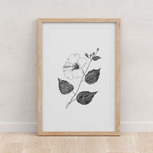 HAWAII - Fine Art Print - Giclée - State Flowers - Hibiscus Botanical Drawing - Pen and Ink - 5x7 - 8x10 - 11x14 - 16x20 - 18x24