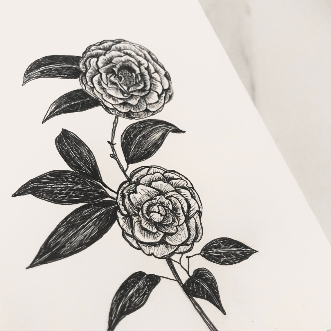 ALABAMA Fine Art Print Giclée State Flowers Camellia Etsy