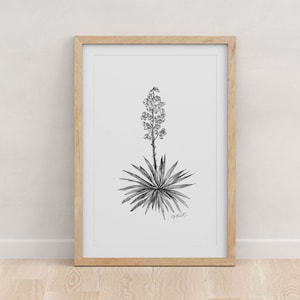 NEW MEXICO - Fine Art Print - Giclée - State Flowers - Yucca Flower Botanical Drawing - Pen and Ink - 5x7 - 8x10 - 11x14 - 16x20 - 18x24