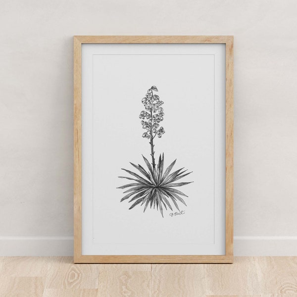 Yucca Flower Etsy