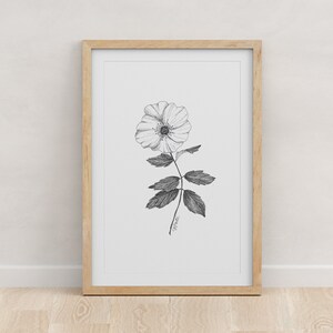 Georgia State Flower, Cherokee Rose Art Print, Pen and Ink Botanical