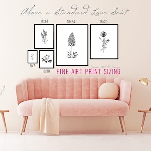 May include: A pink sofa with a white throw blanket in front of a wall with five black and white framed prints of botanical illustrations. The prints are labeled with their dimensions in inches: 5x7, 8x10, 11x14, 16x20, and 18x24. The text "Above a Standard Love Seat" and "Fine Art Print Sizing" are also visible on the wall.