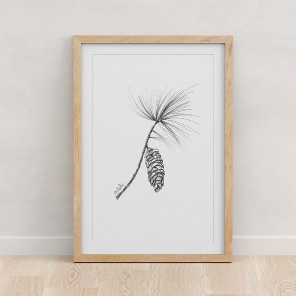 MAINE - Fine Art Print - Giclée - State Flowers - Pine Cone and Tassel Botanical Drawing - Pen and Ink - 5x7 - 8x10 - 11x14 - 16x20 - 18x24