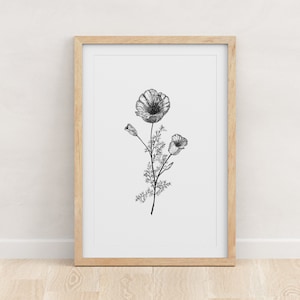 CALIFORNIA I - Fine Art Print - Giclée - State Flowers - Poppy Black and White Botanical Drawing -Pen Ink-5x7 - 8x10 - 11x14 - 16x20 - 18x24