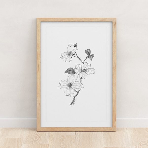 NORTH CAROLINA - Fine Art Print - Giclée - State Flowers - Dogwood Botanical Drawing - Pen and Ink - 5x7 - 8x10 - 11x14 - 16x20 - 18x24