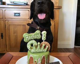 Dog Birthday Cake