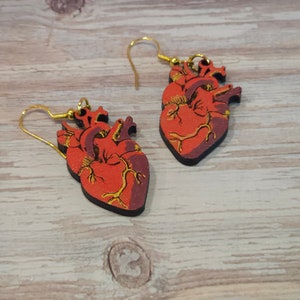 May include: A pair of red anatomical heart earrings with gold hooks. The hearts are detailed with veins and chambers.