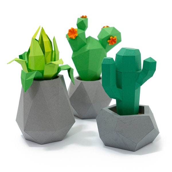 Jardinières en béton avec cactus et plantes - Créations artisanales en papier, lowpoly, origami, fleurs, plantes, sculptures en papier, pentagonales, géométriques