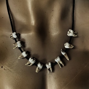 May include: A necklace made of human teeth on a black cord. The teeth are all different sizes and shapes, and some have been stained with age.