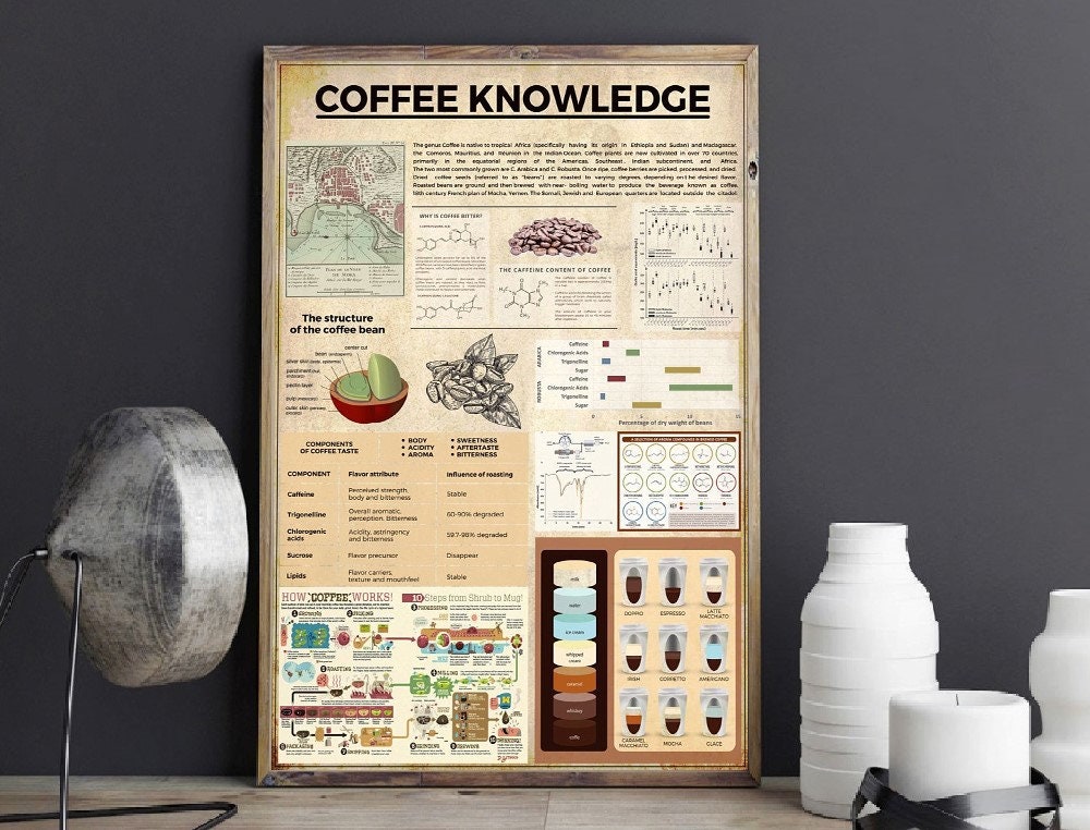 Coffee Knowledge Poster Coffee Knowledge Knowledge Poster Etsy