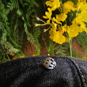 May include: A black and white ladybug with a white background and black spots is sitting on a dark blue denim fabric. The ladybug is in focus, and the denim fabric is out of focus.