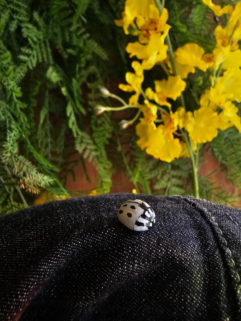 May include: A black and white ladybug with a white background and black spots is sitting on a dark blue denim fabric. The ladybug is in focus, and the denim fabric is out of focus.