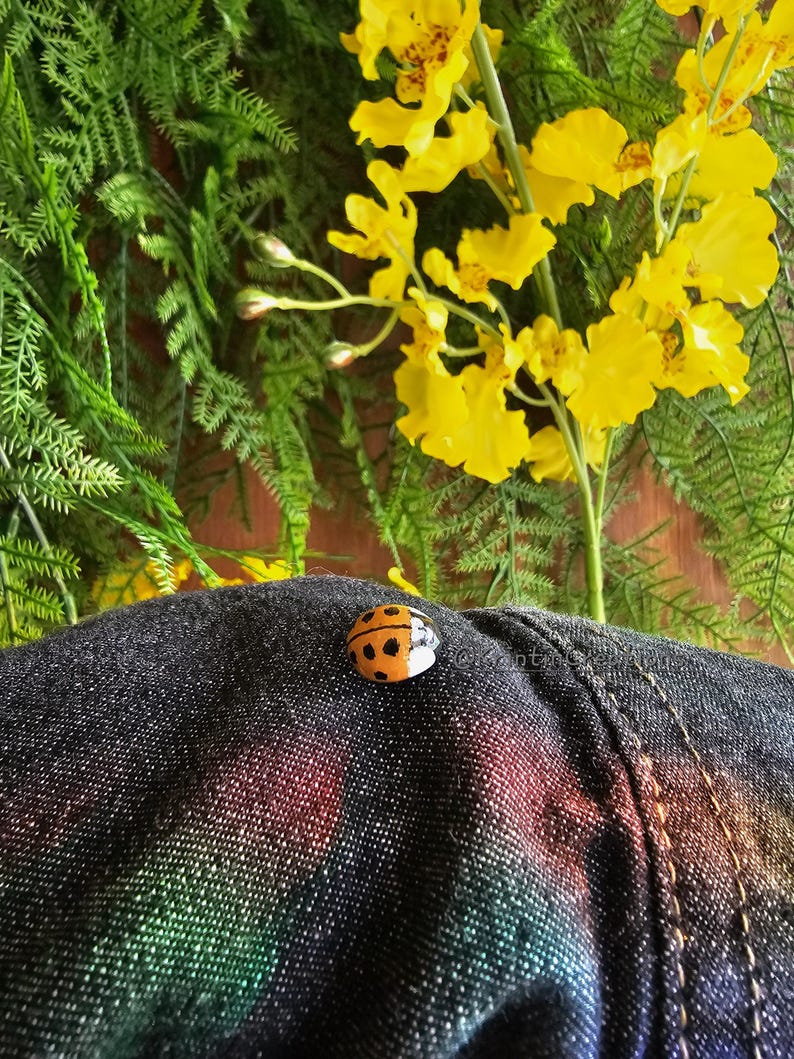 May include: A close-up of a black denim jacket with a small ladybug pin on the front. The ladybug is orange with black spots and white accents.