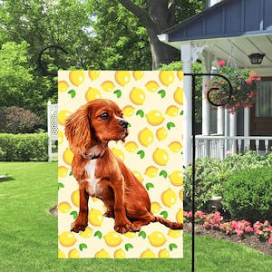 Custom Pet Photo Yard Flag: Personalized Dog Garden Decor