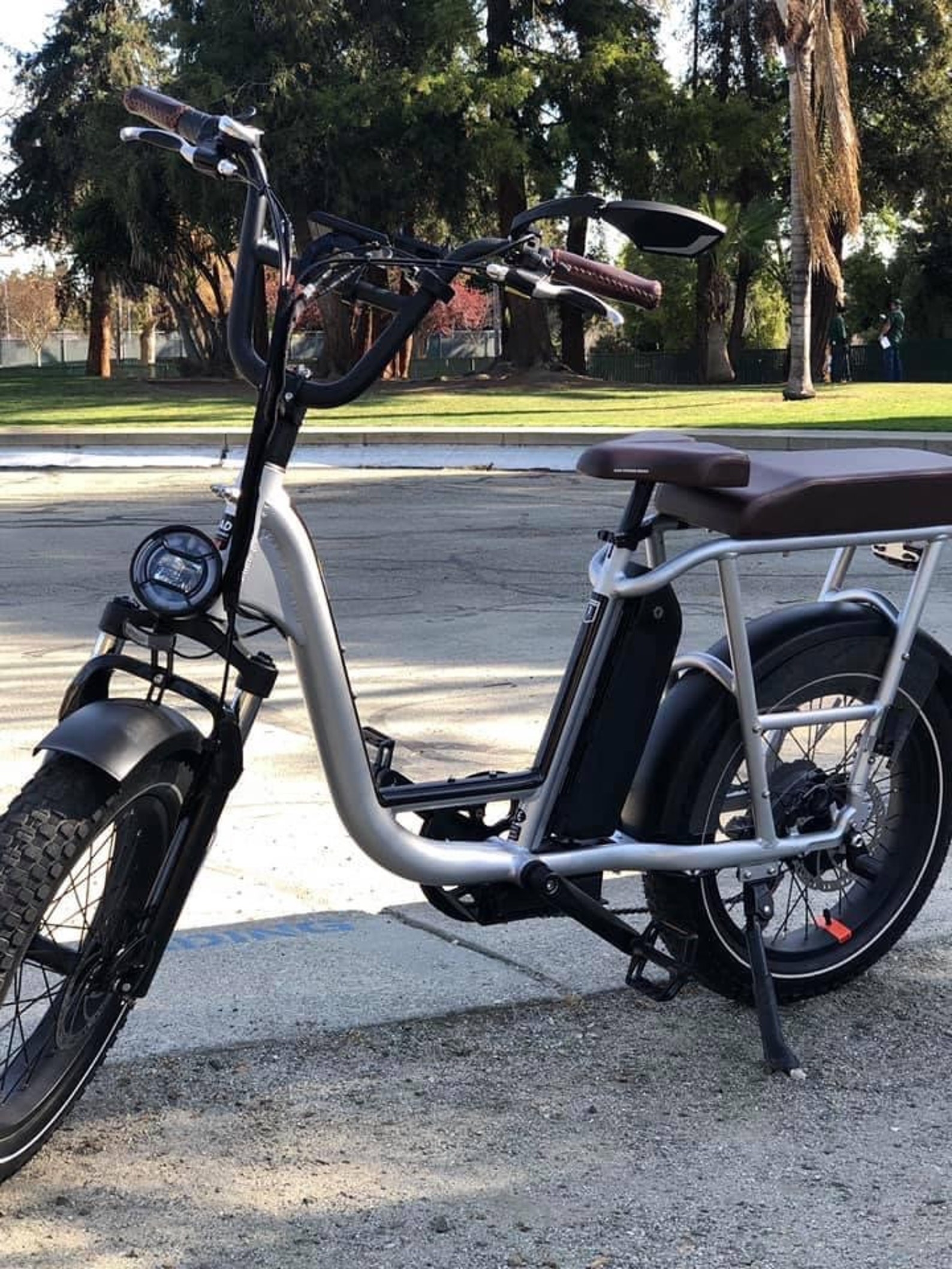 Decal Set for Rad Runner Plus Silver bike NOT Included Etsy